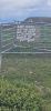 PICTURES/Whaligoe Steps/t_BAD DOG Sign.jpg